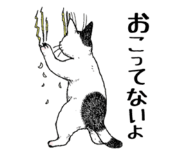 Buchi the cat sticker #466158