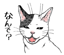 Buchi the cat sticker #466161