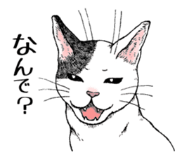 Buchi the cat sticker #466161