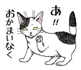 Buchi the cat sticker #466164