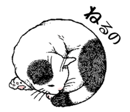 Buchi the cat sticker #466165