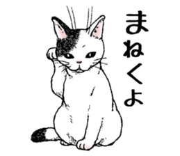 Buchi the cat sticker #466166