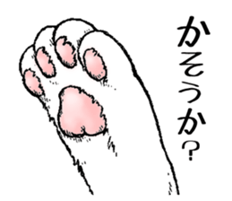 Buchi the cat sticker #466169