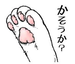 Buchi the cat sticker #466169