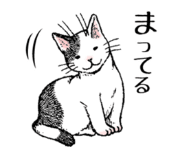 Buchi the cat sticker #466172