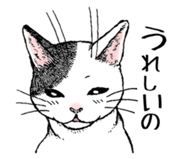Buchi the cat sticker #466173