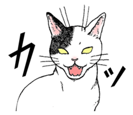 Buchi the cat sticker #466174