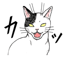 Buchi the cat sticker #466174