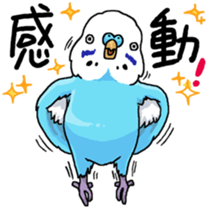 budgerigar and cockatiel sticker #467553