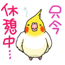 budgerigar and cockatiel sticker #467558