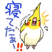 budgerigar and cockatiel sticker #467559