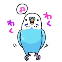 budgerigar and cockatiel sticker #467562