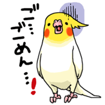 budgerigar and cockatiel sticker #467564
