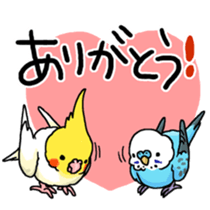 budgerigar and cockatiel sticker #467568