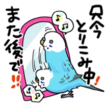 budgerigar and cockatiel sticker #467572