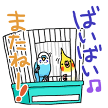 budgerigar and cockatiel sticker #467574