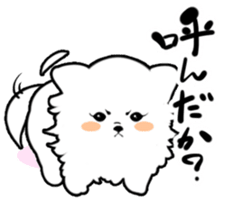 White Pomeranian sticker #471936