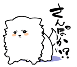 White Pomeranian sticker #471941