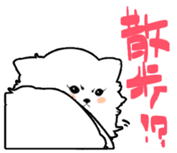 White Pomeranian sticker #471942