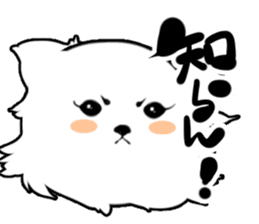 White Pomeranian sticker #471944
