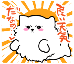 White Pomeranian sticker #471947