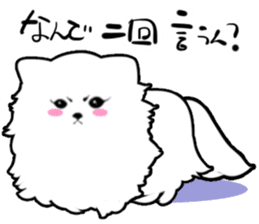 White Pomeranian sticker #471949