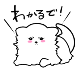 White Pomeranian sticker #471952