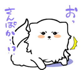 White Pomeranian sticker #471955