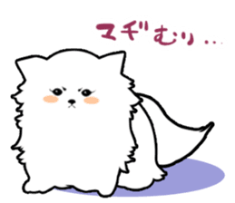 White Pomeranian sticker #471958