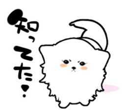 White Pomeranian sticker #471959