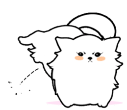 White Pomeranian sticker #471961