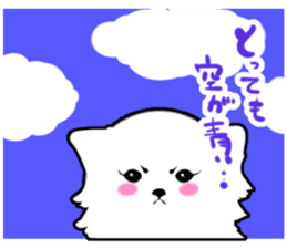 White Pomeranian sticker #471974