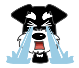 B&S Schnauzer BASS sticker #472436