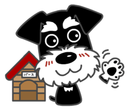 B&S Schnauzer BASS sticker #472449