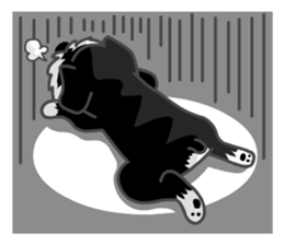 B&S Schnauzer BASS sticker #472454