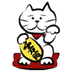 The cat which did a bandana