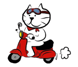 The cat which did a bandana sticker #472659