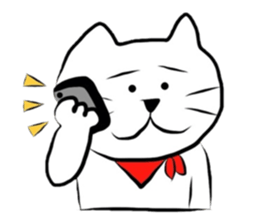 The cat which did a bandana sticker #472666