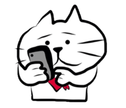 The cat which did a bandana sticker #472676