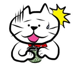 The cat which did a bandana sticker #472682