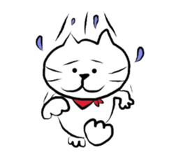 The cat which did a bandana sticker #472694