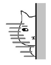 To be pretty is not a cat sticker #472776