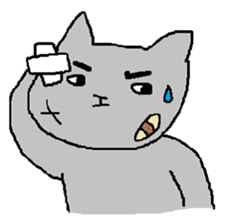 To be pretty is not a cat sticker #472803