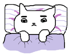 To be pretty is not a cat sticker #472806