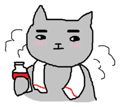 To be pretty is not a cat sticker #472814