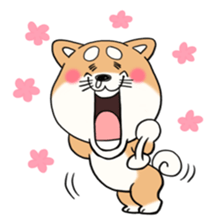 SHIBA!! sticker #473615