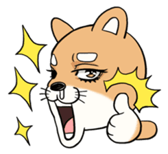 SHIBA!! sticker #473626