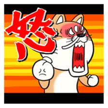 SHIBA!! sticker #473628