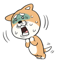 SHIBA!! sticker #473630