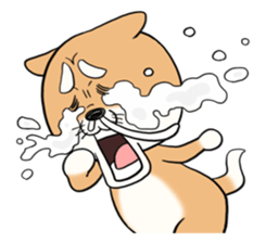 SHIBA!! sticker #473632